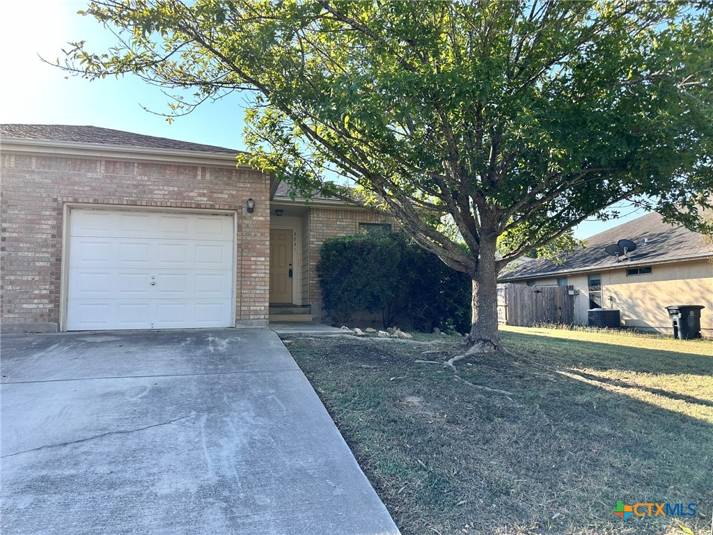 a view of a yard with a large tree