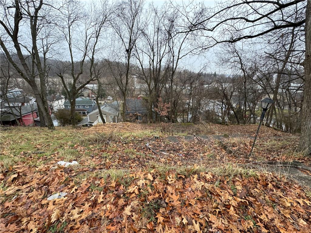 a view of a yard with a tree