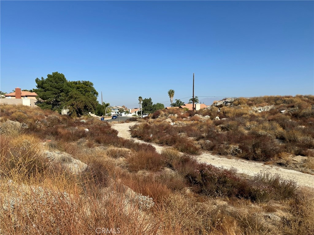 a view of a dry yard with trees