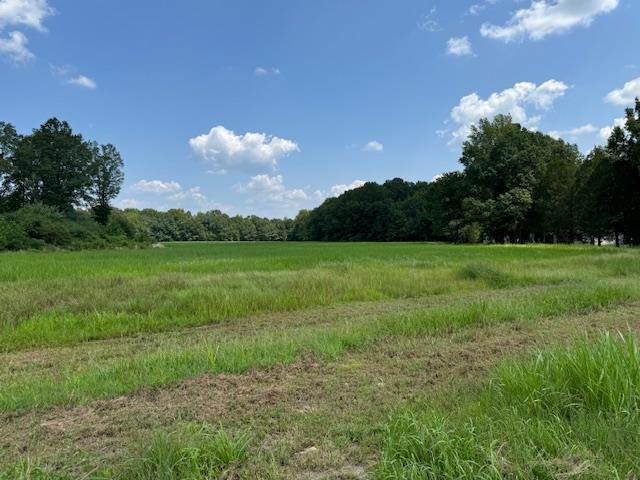 View of local wilderness with a rural view