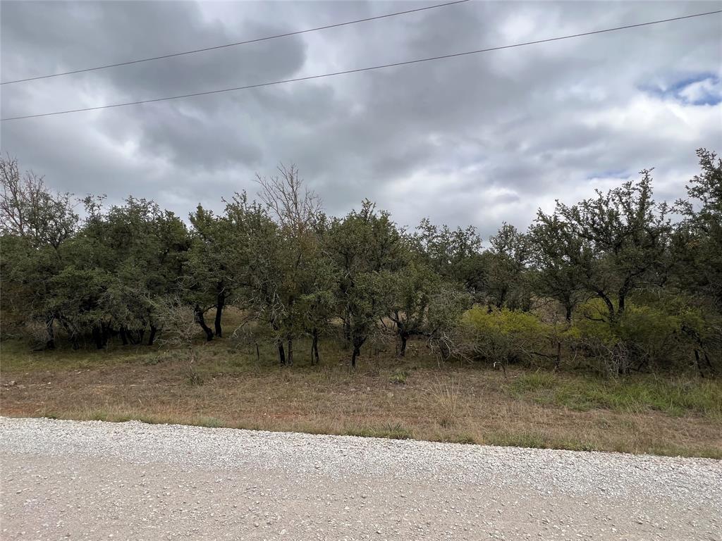 a view of a field with trees in the background