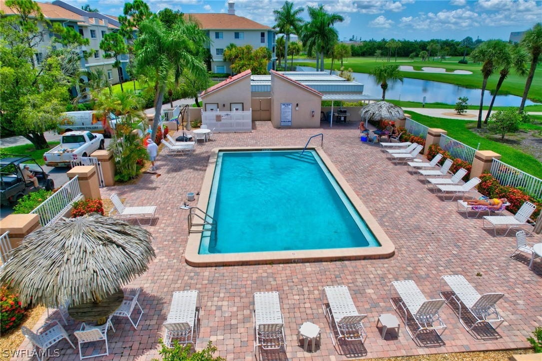 a view of a swimming pool with lawn chairs and plants