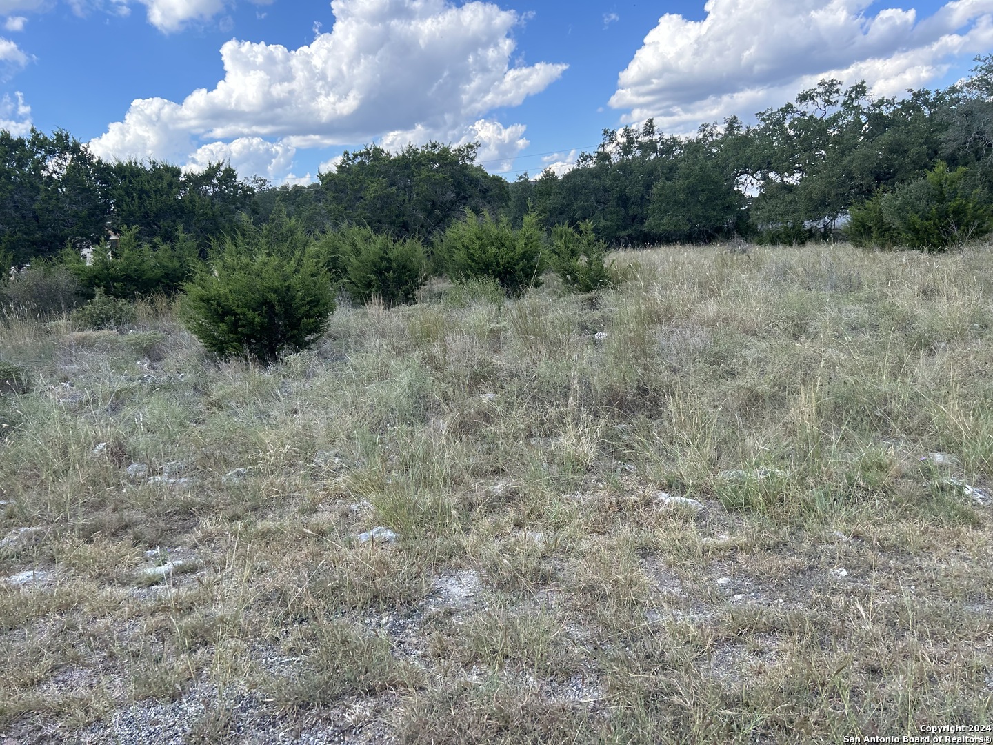 a view of a field