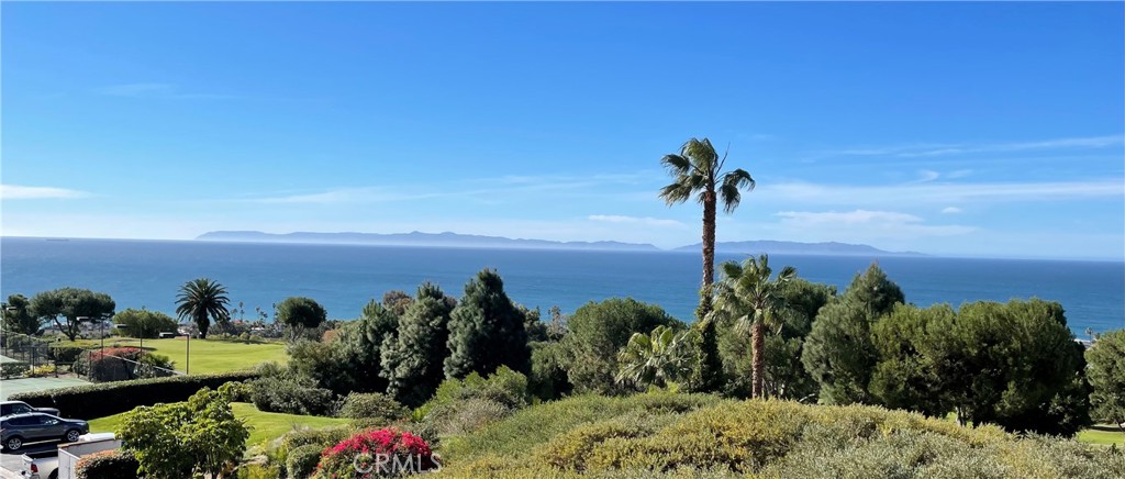 Panoramic Ocean & Catalina Views