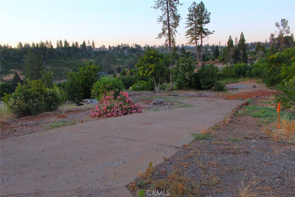 a backyard view