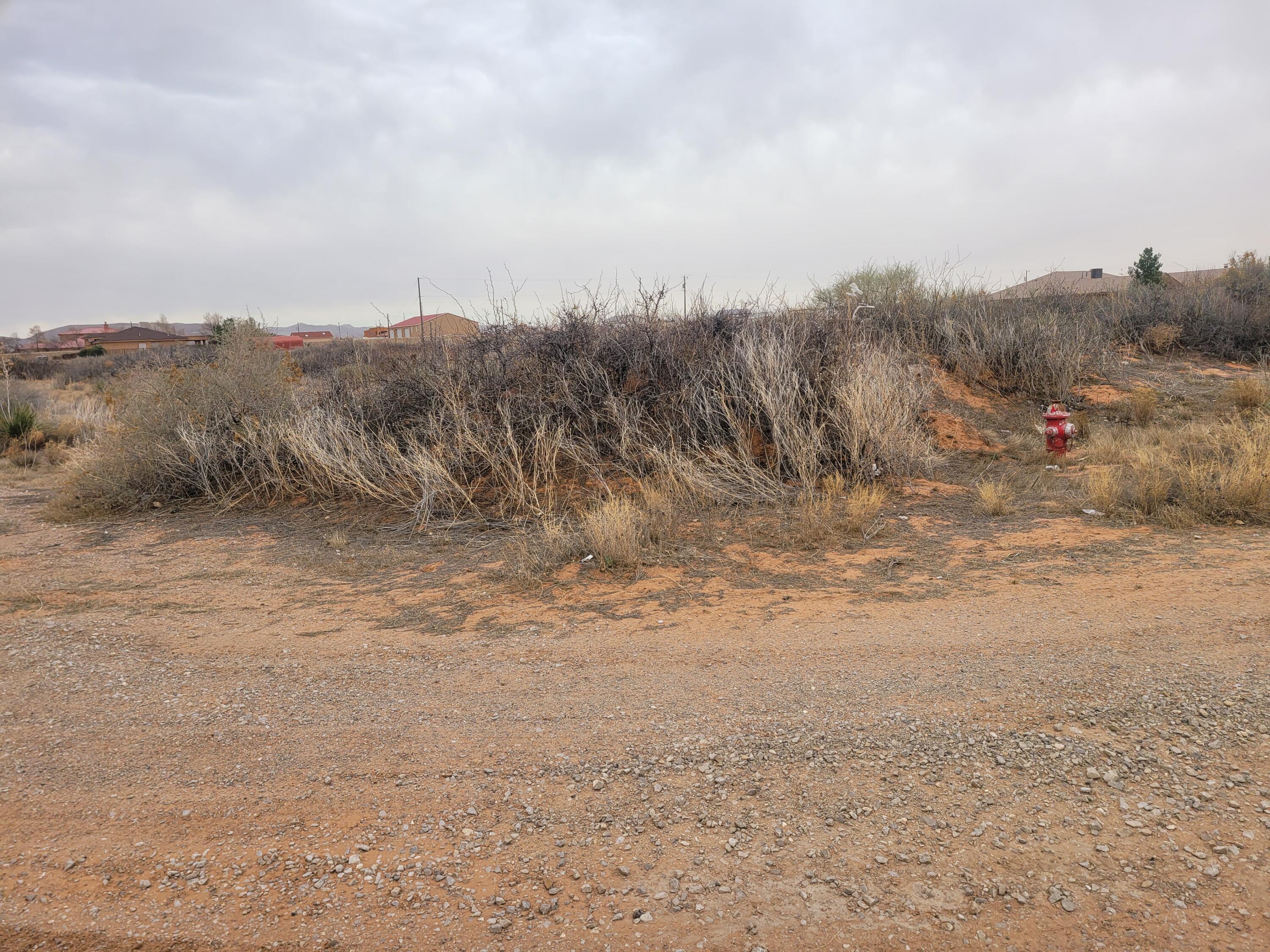 a view of dirt field with trees in background