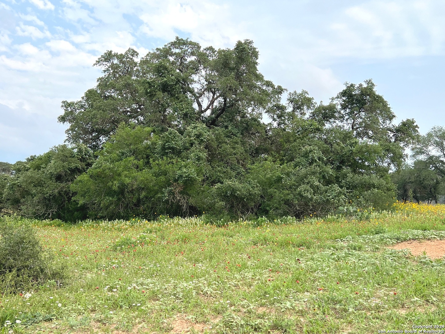 a view of outdoor space and yard