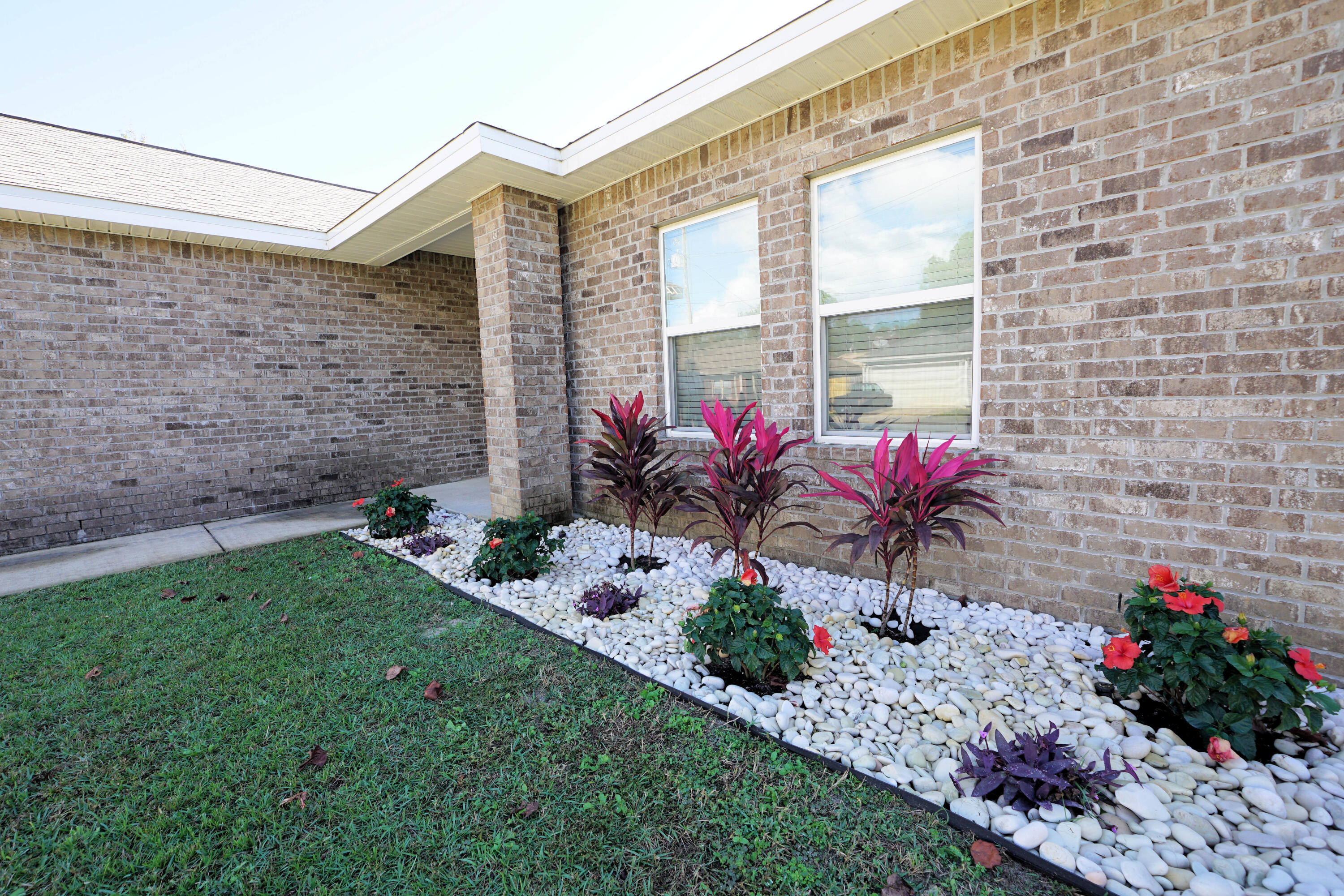 a view of a potted flower in front of a house