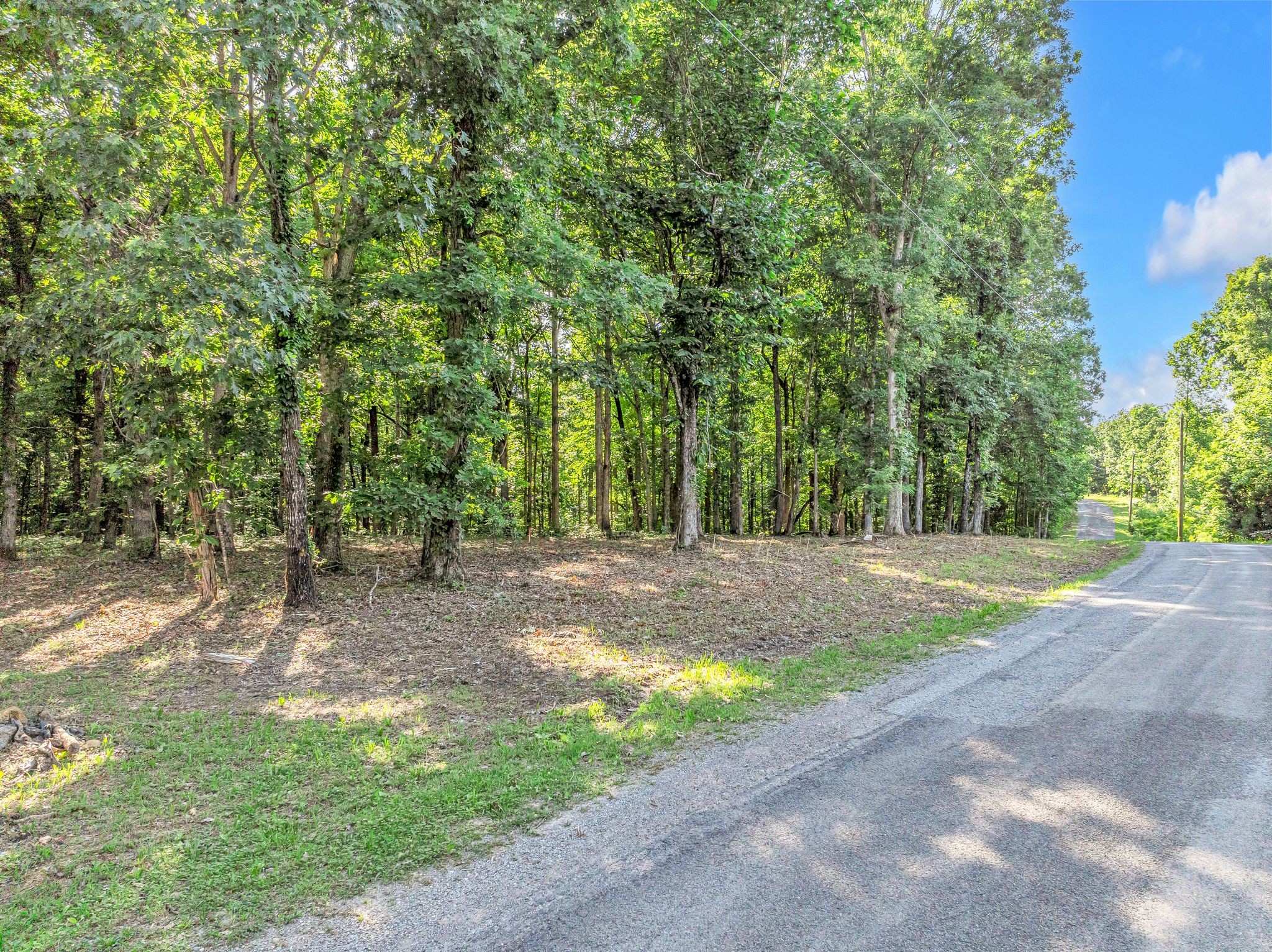 a view of a yard with a tree