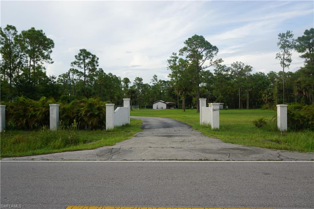 a view of a park