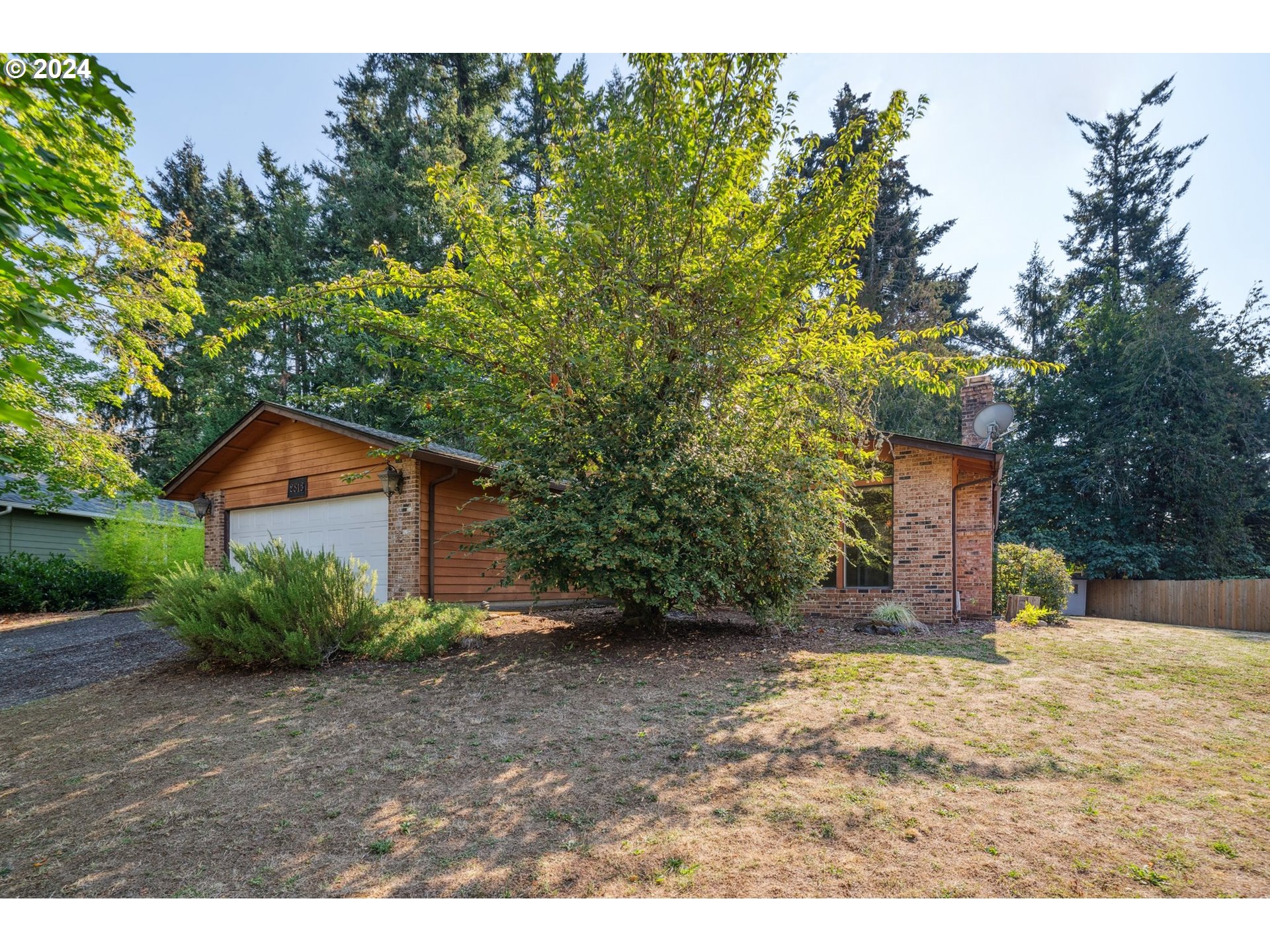 a backyard of a house with large trees and plants