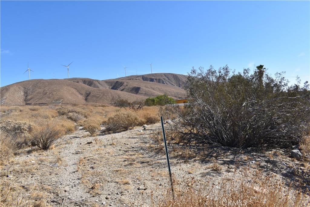 a view of a dry yard with trees