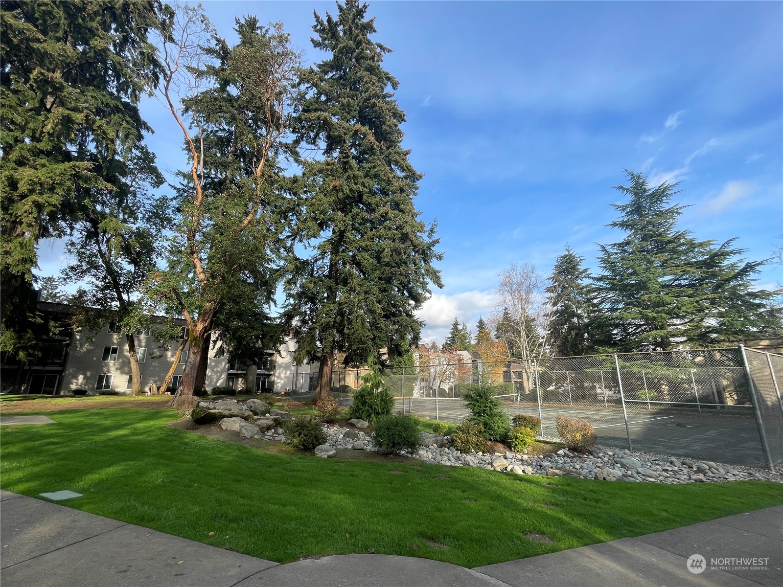 a view of a park that has large trees