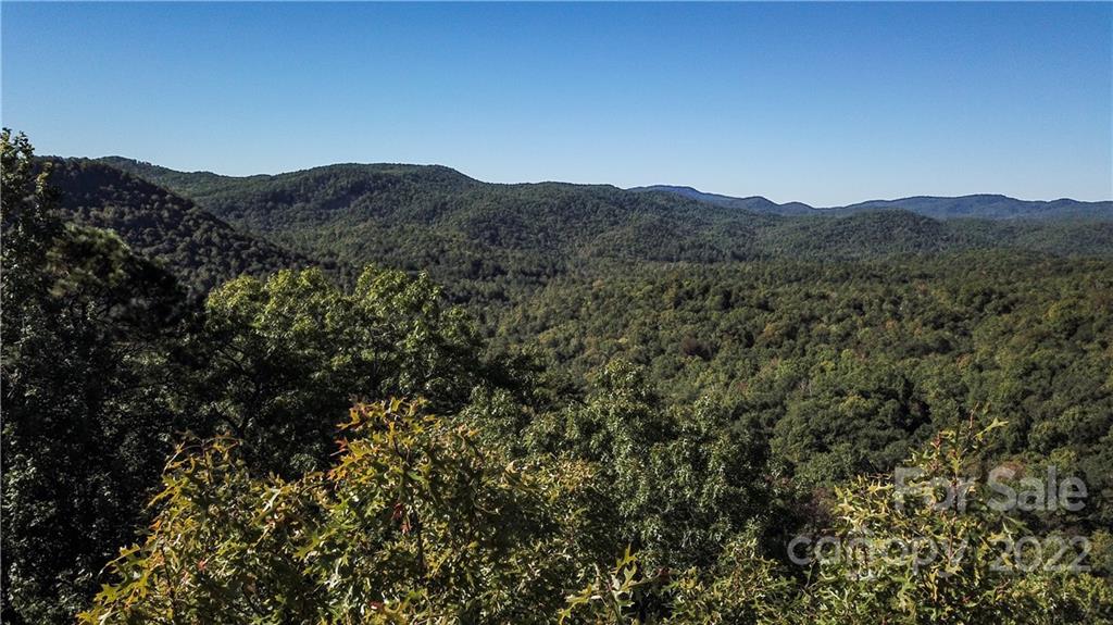 a view of a mountain range in a field