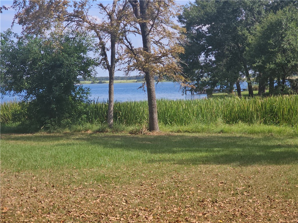 a view of a park with large trees