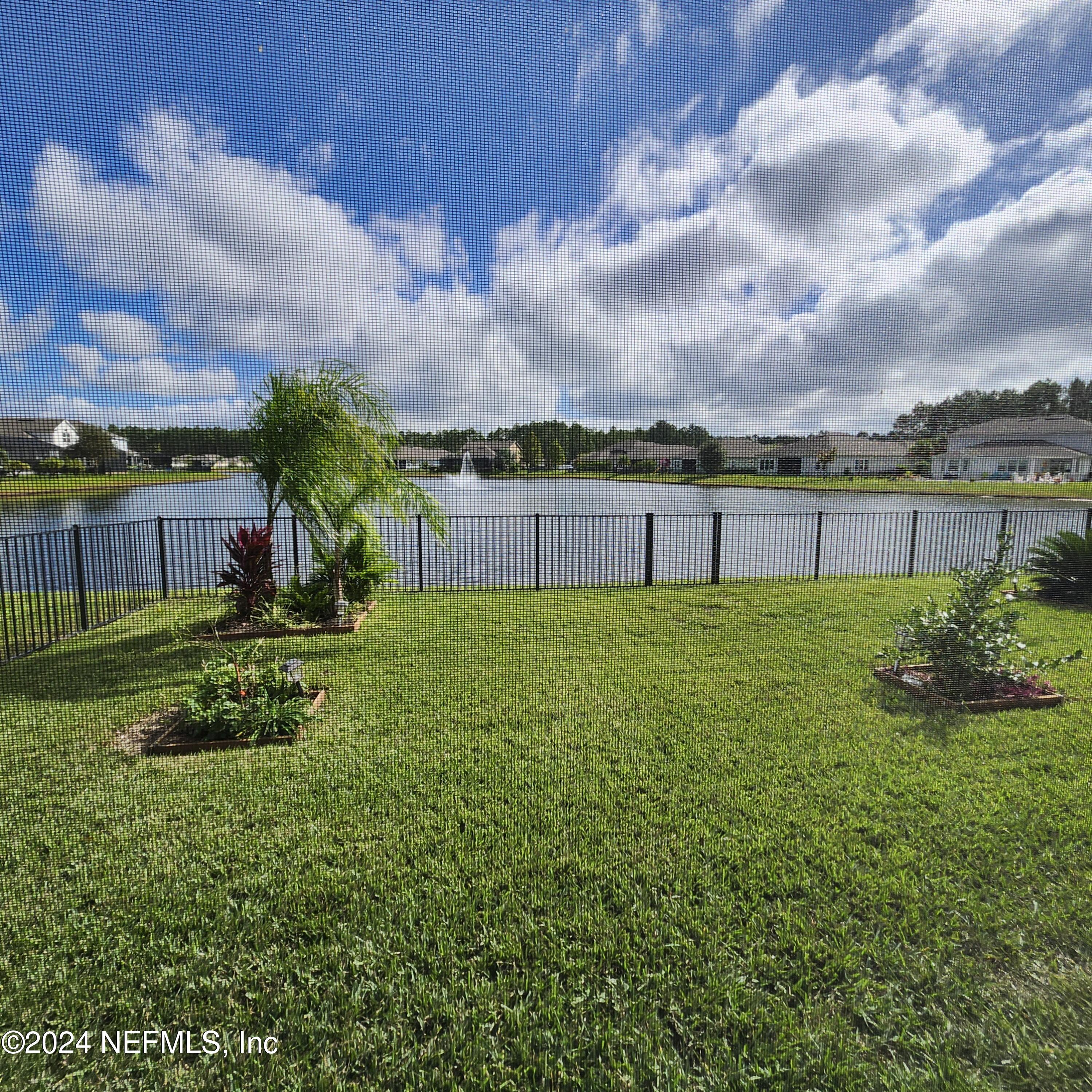 Backyard view