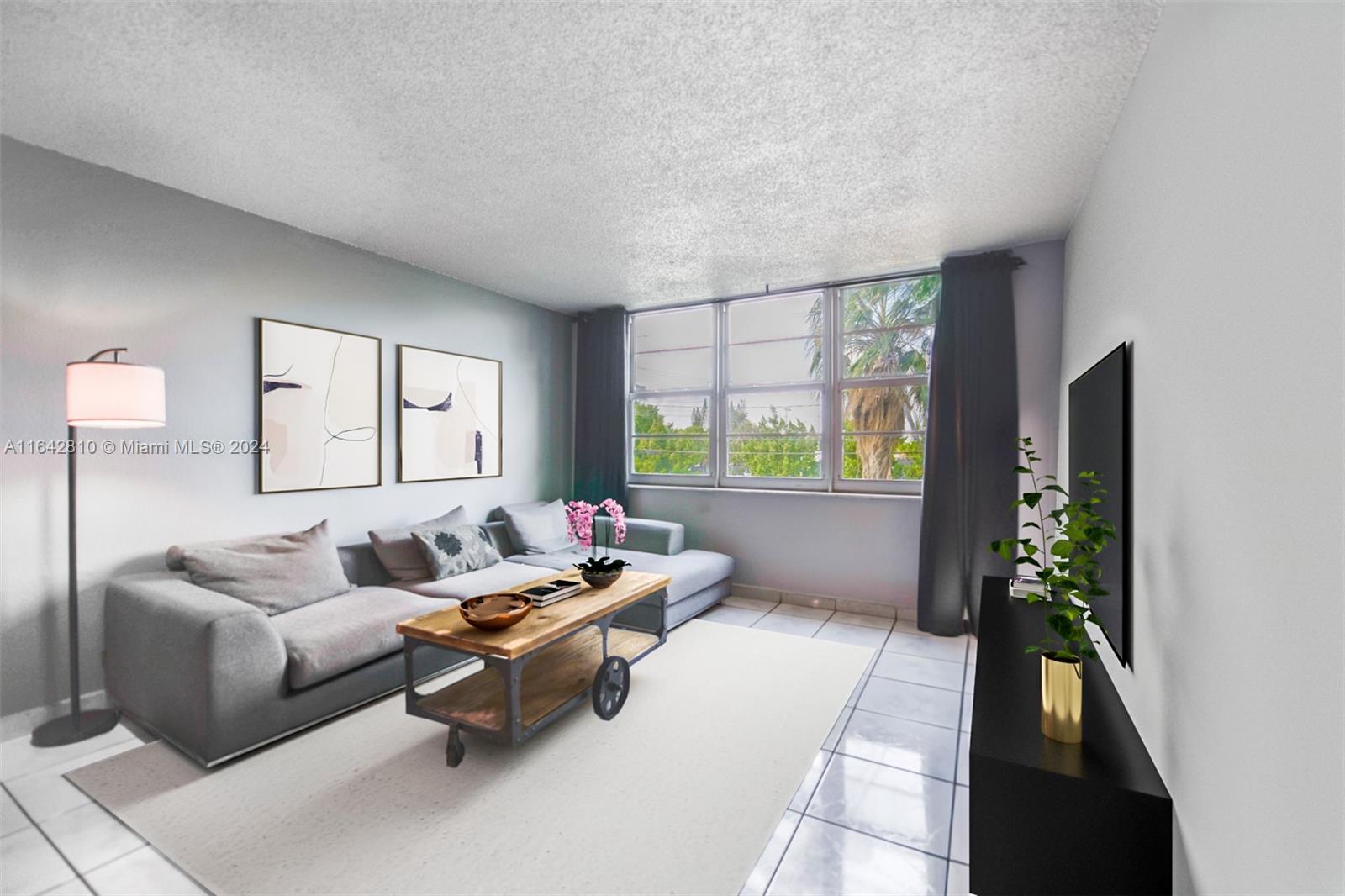 a living room with furniture and a potted plant