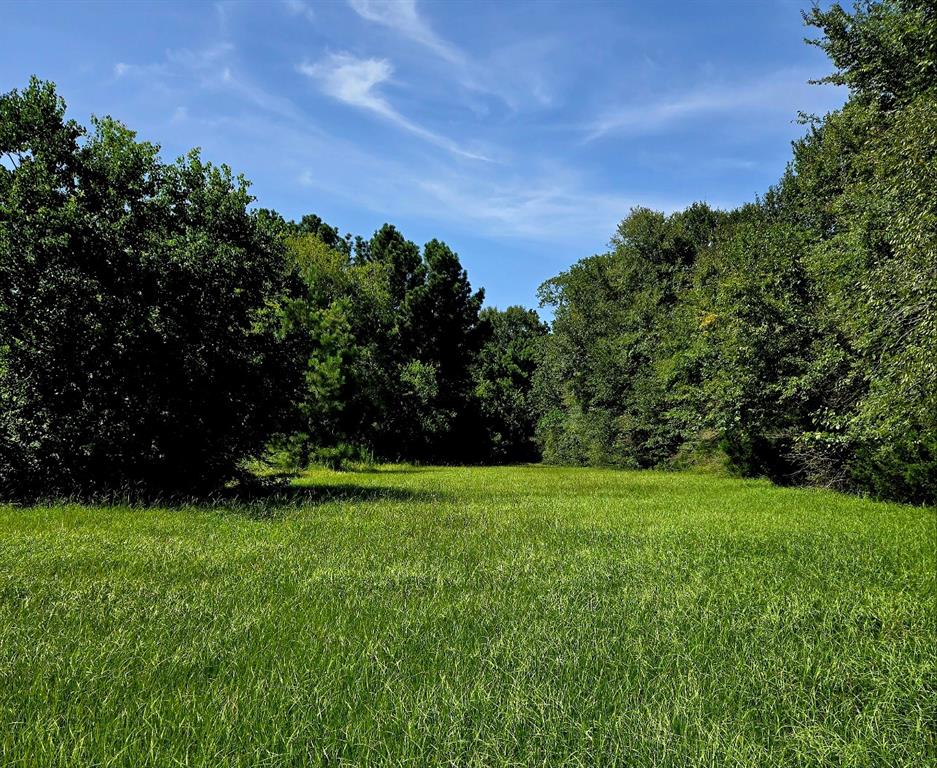 a view of a field of grass and trees