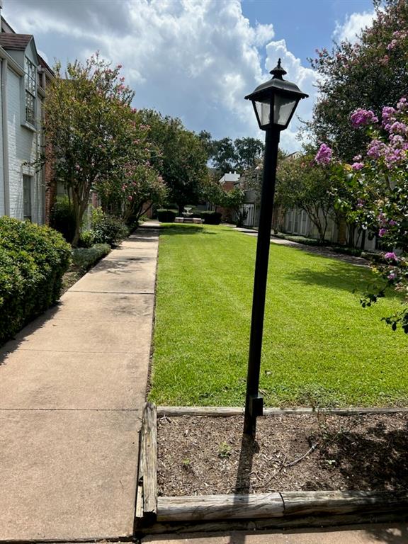 a front view of a garden with a fountain