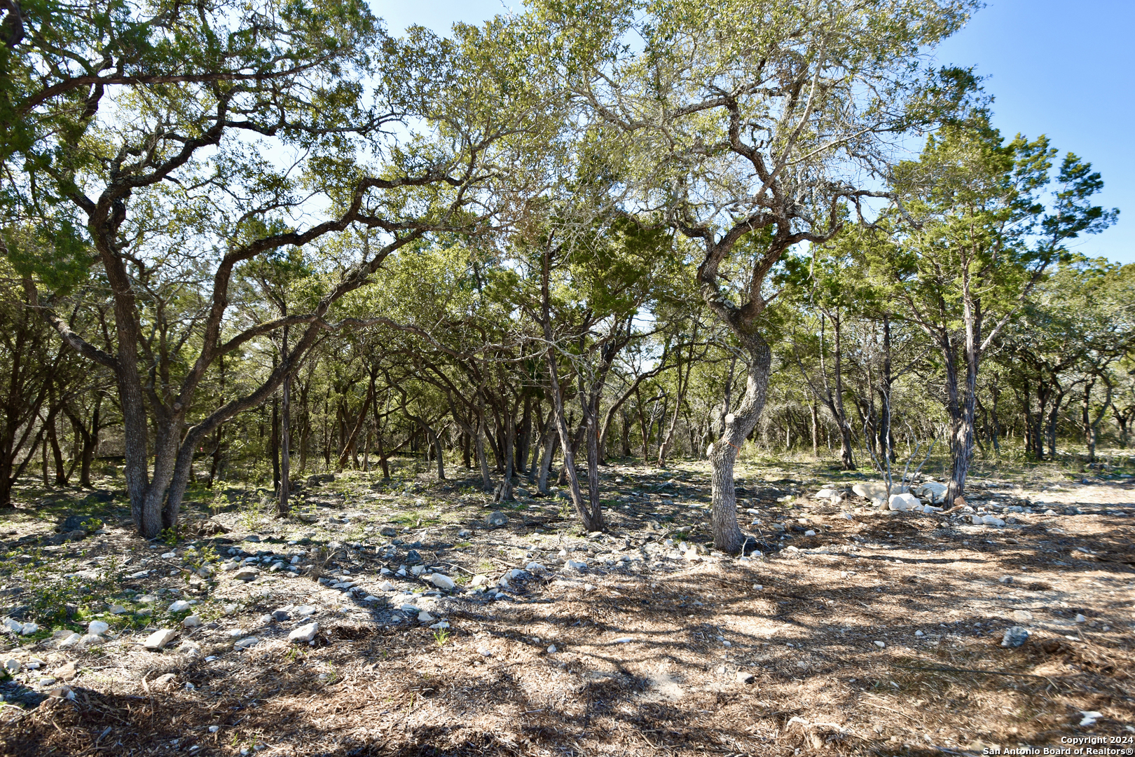 a view of outdoor space with trees