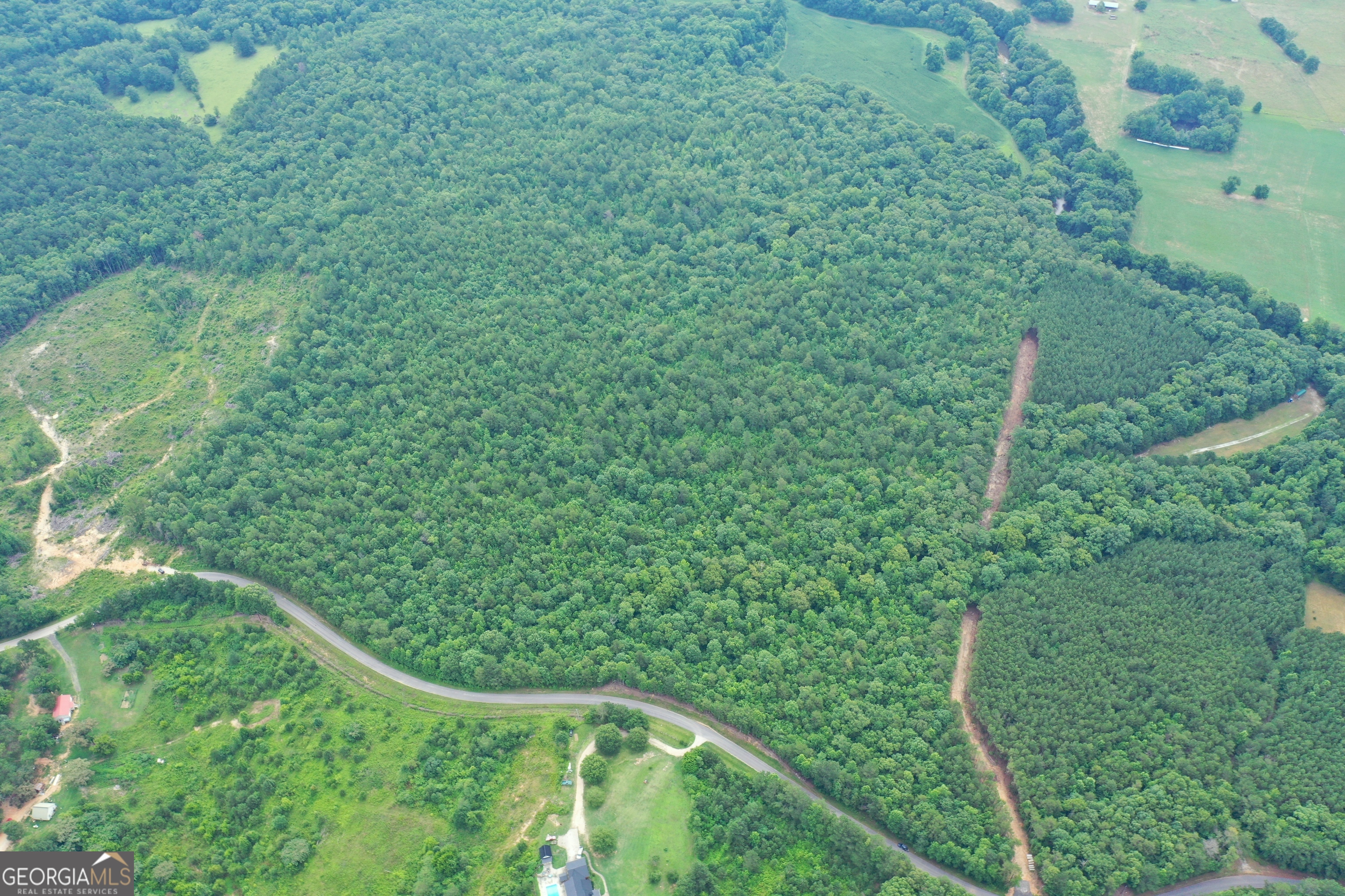 a view of a lush green space