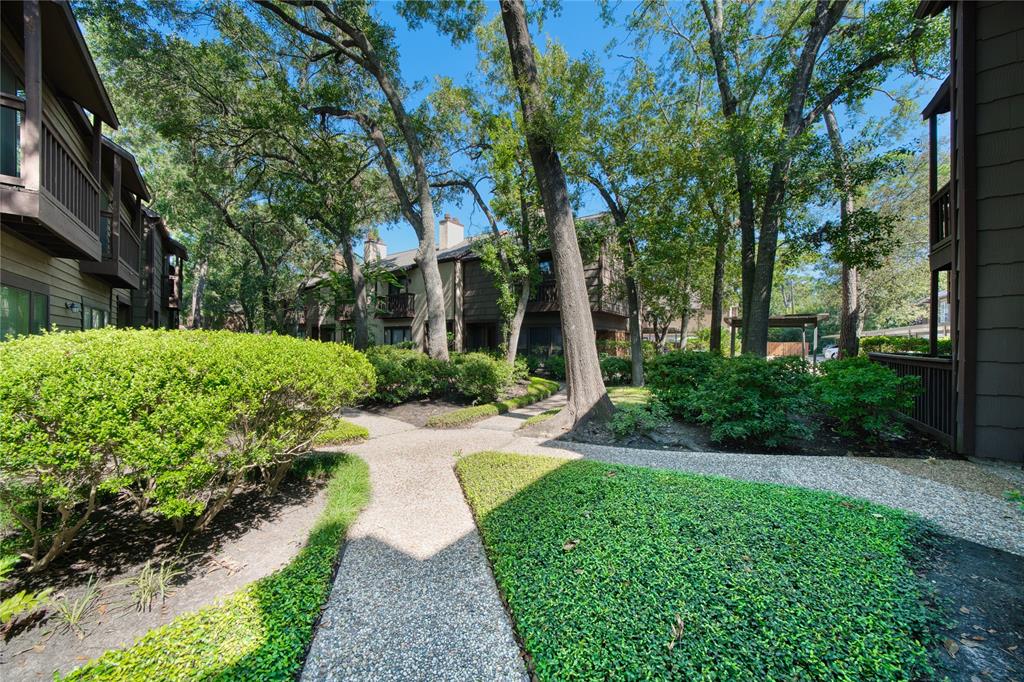 a view of a garden with plants