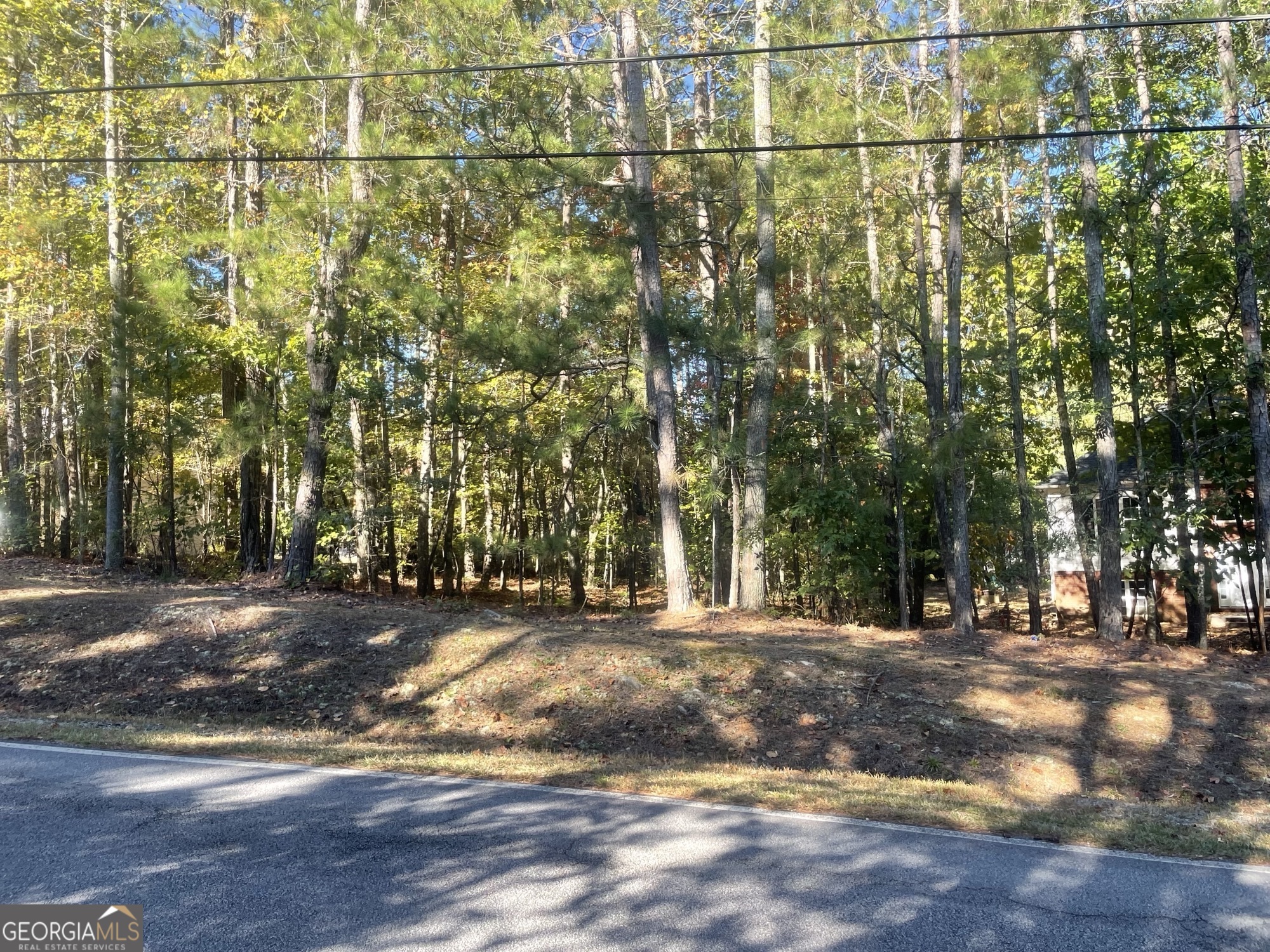 a view of a yard with large tree