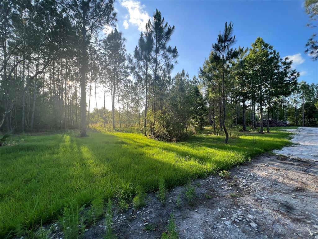 a view of a park