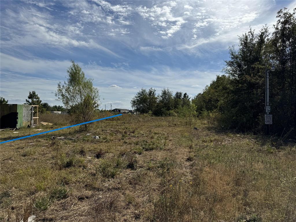 a view of a dry yard with trees