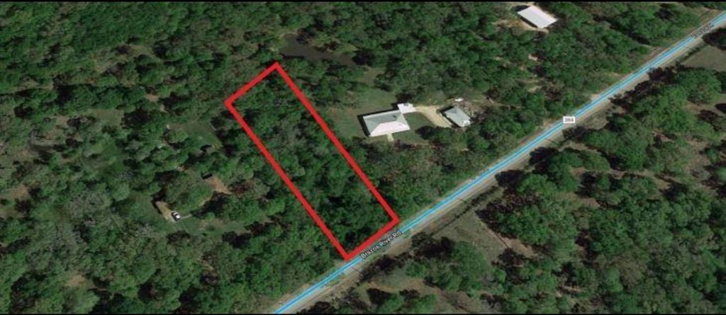 Welcome to 8301 Brazos River Road, an expansive tree-filled lot in Brazoria County.