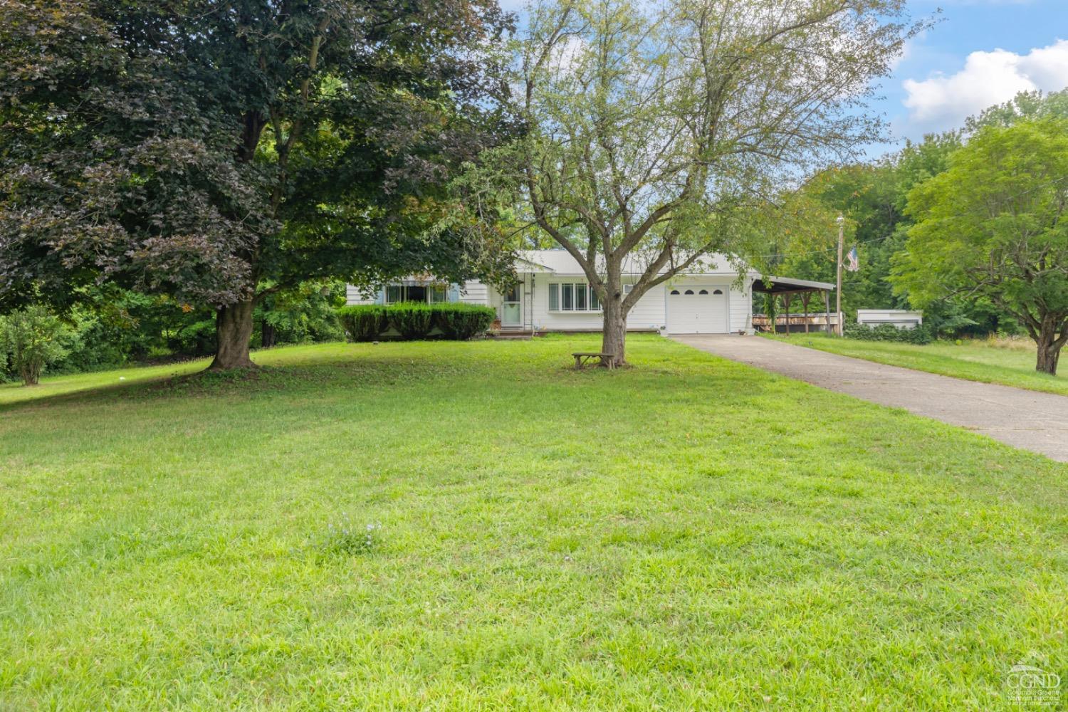 a view of a trees with a big yard