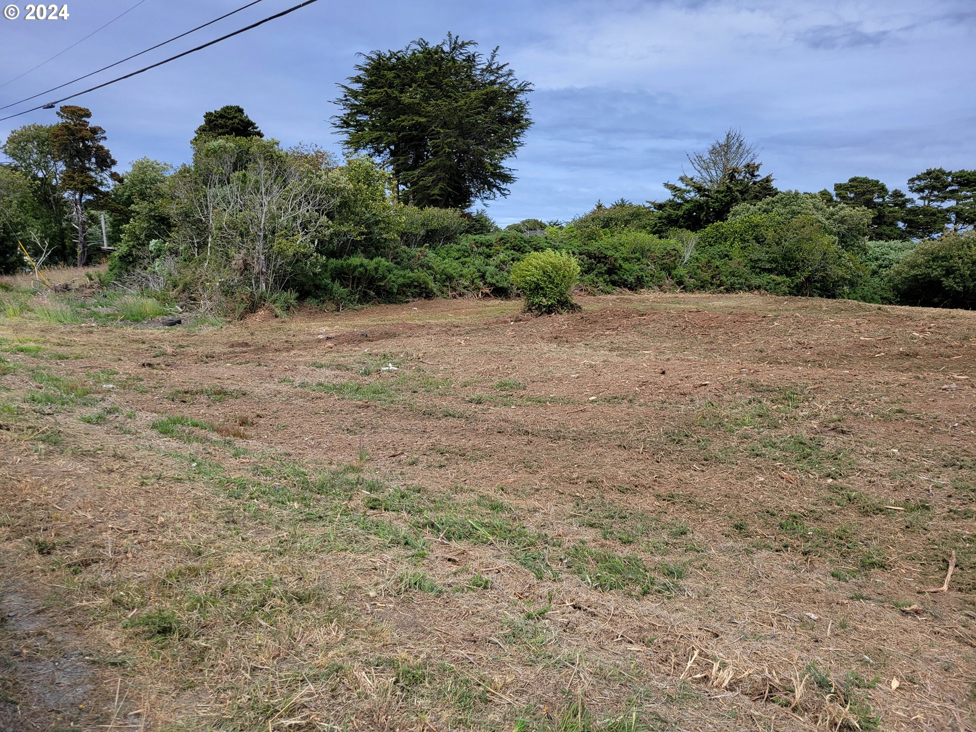 a view of a dry yard with plants and a bench