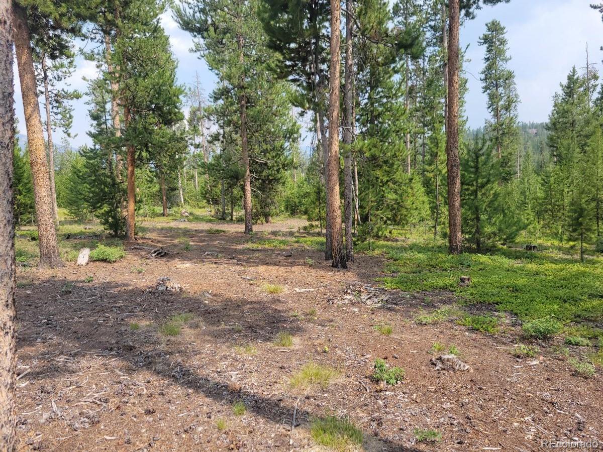 a view of a yard with trees