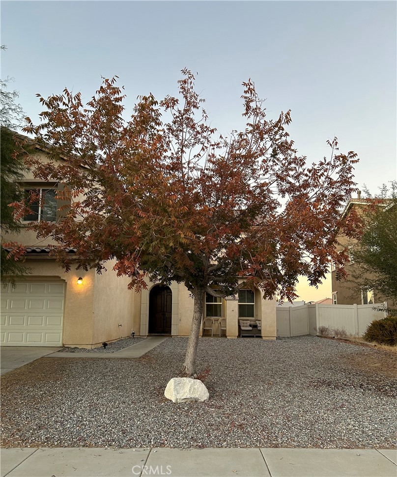 a view of a house with a tree