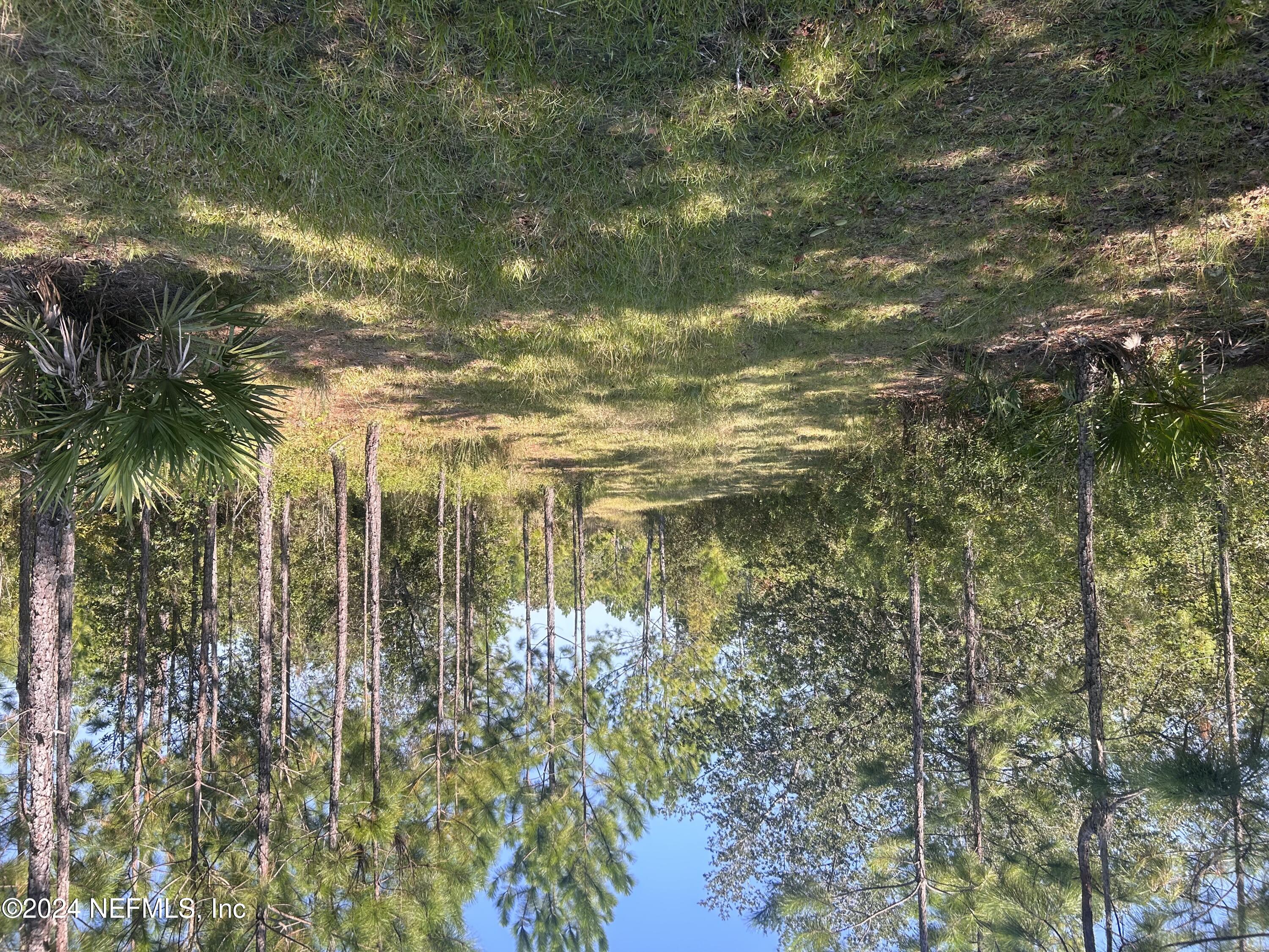 a view of outdoor space with trees