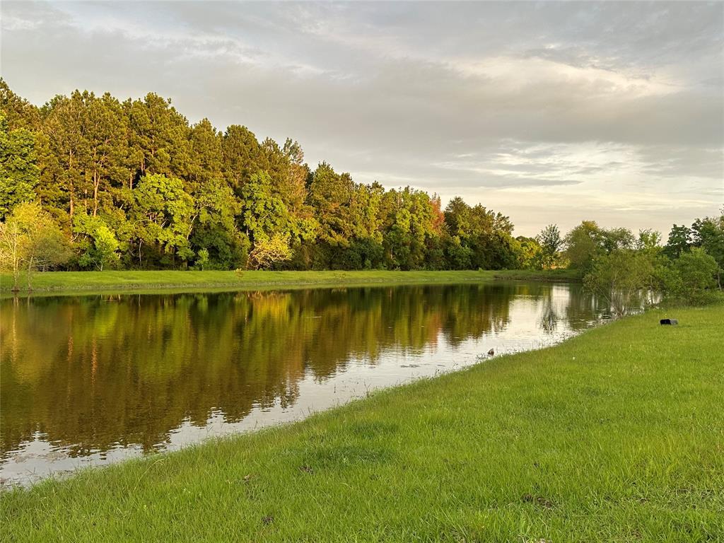 a view of a lake with a yard