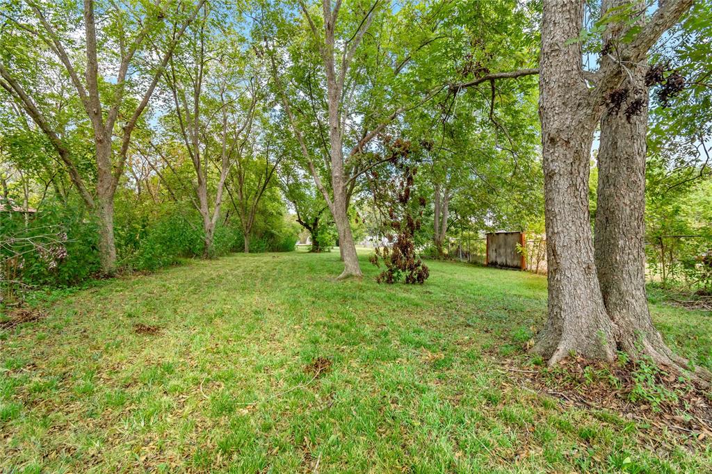 a view of backyard with green space