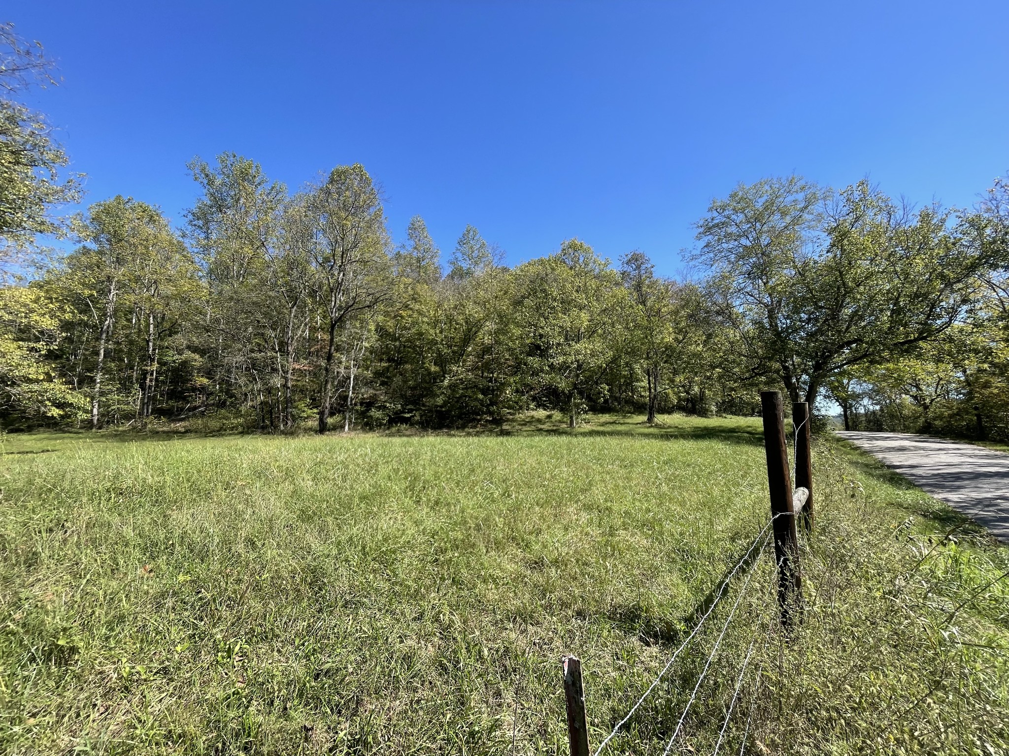 a view of a yard with a tree