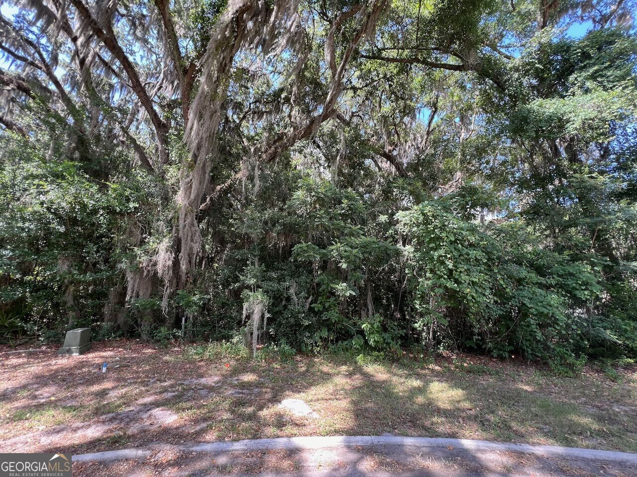 a view of a yard with plants and trees