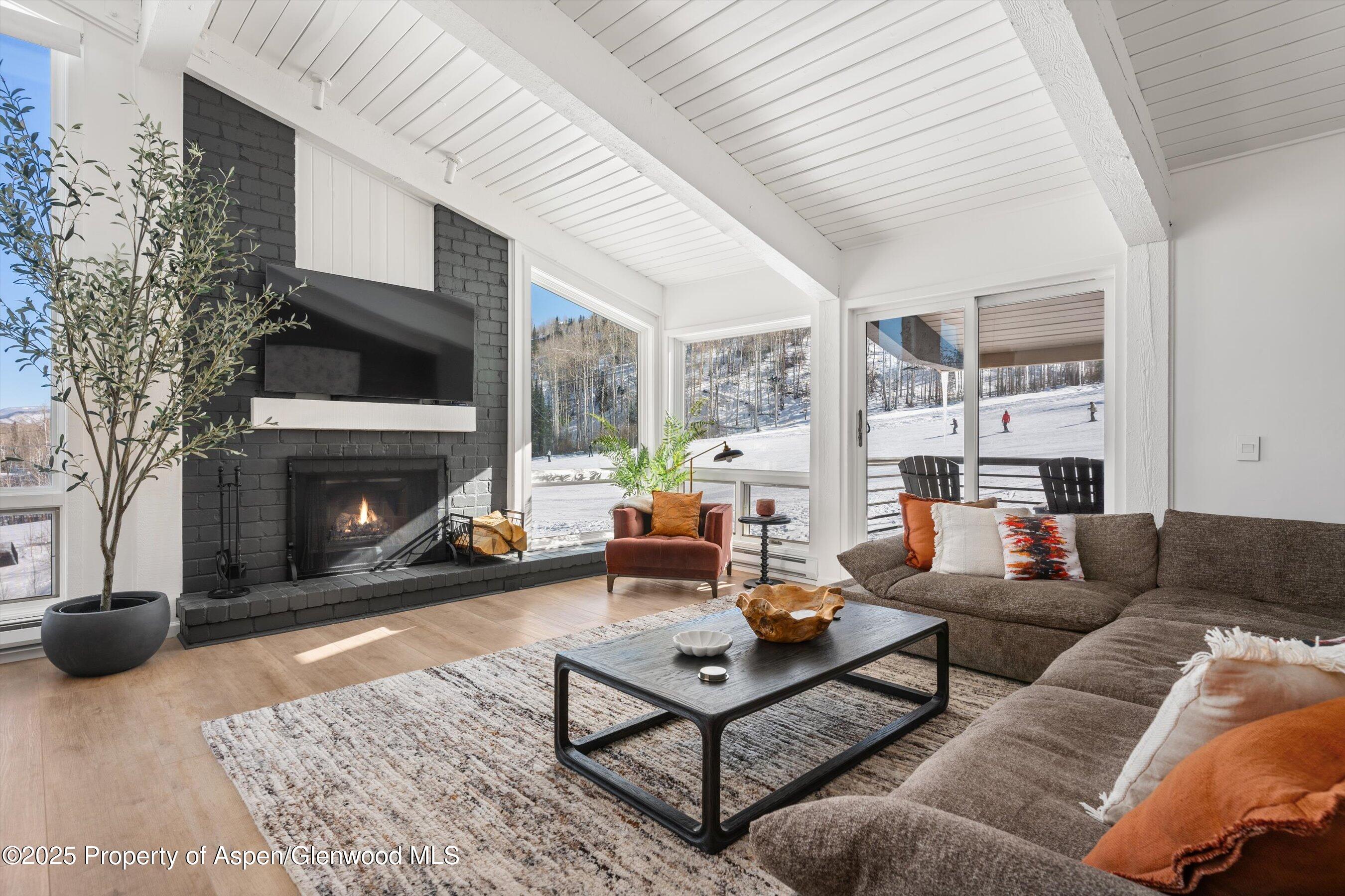 Living Room with Wood Burning Fireplace