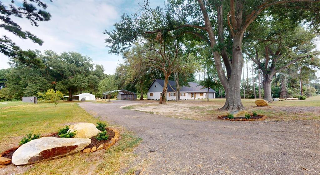 a view of a tree in front of a house