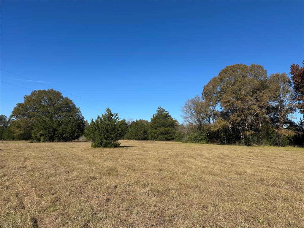 a view of a field with trees in the background