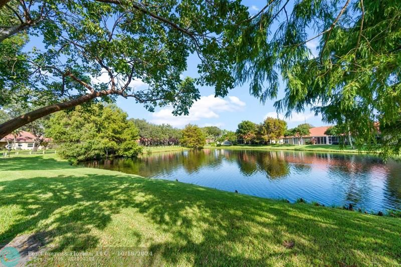 a view of a lake in a garden