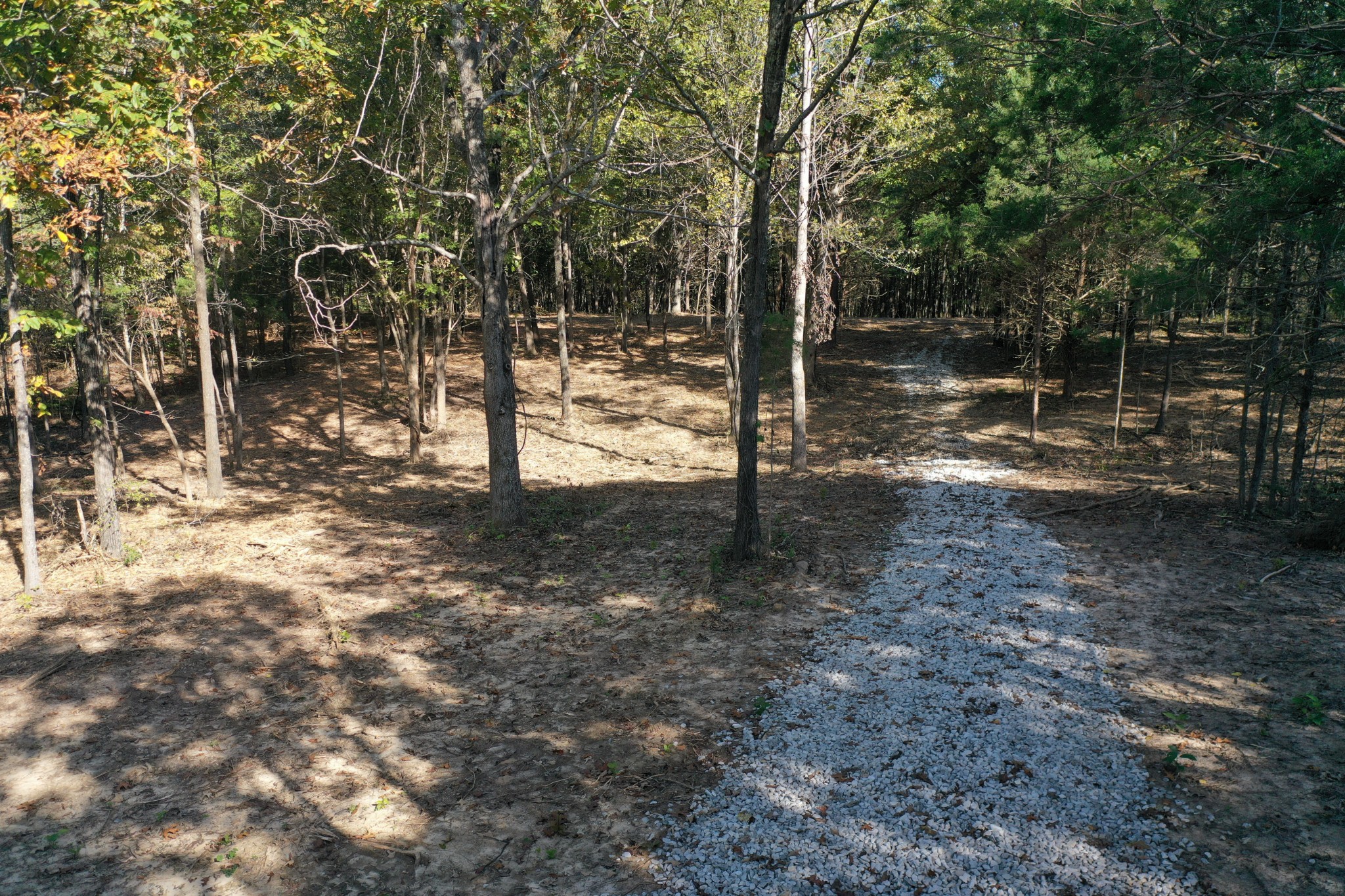 a view of a yard with trees