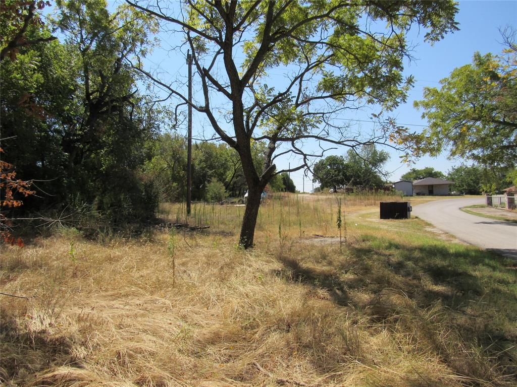 a view of backyard with tree