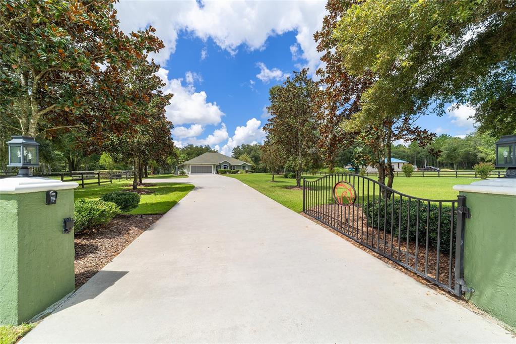 a view of a park with large trees