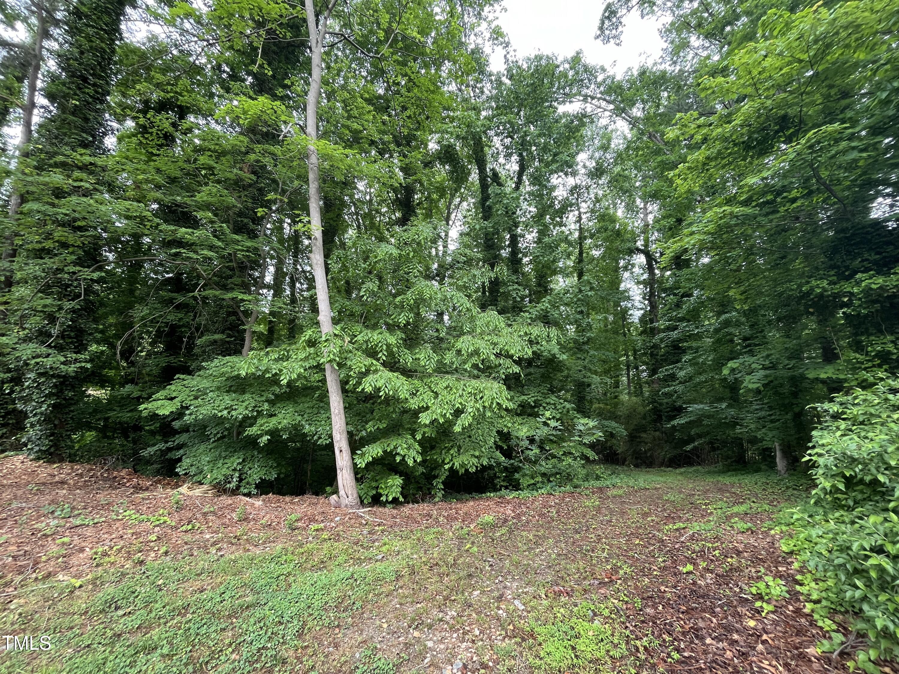 a view of a wooden fence and trees