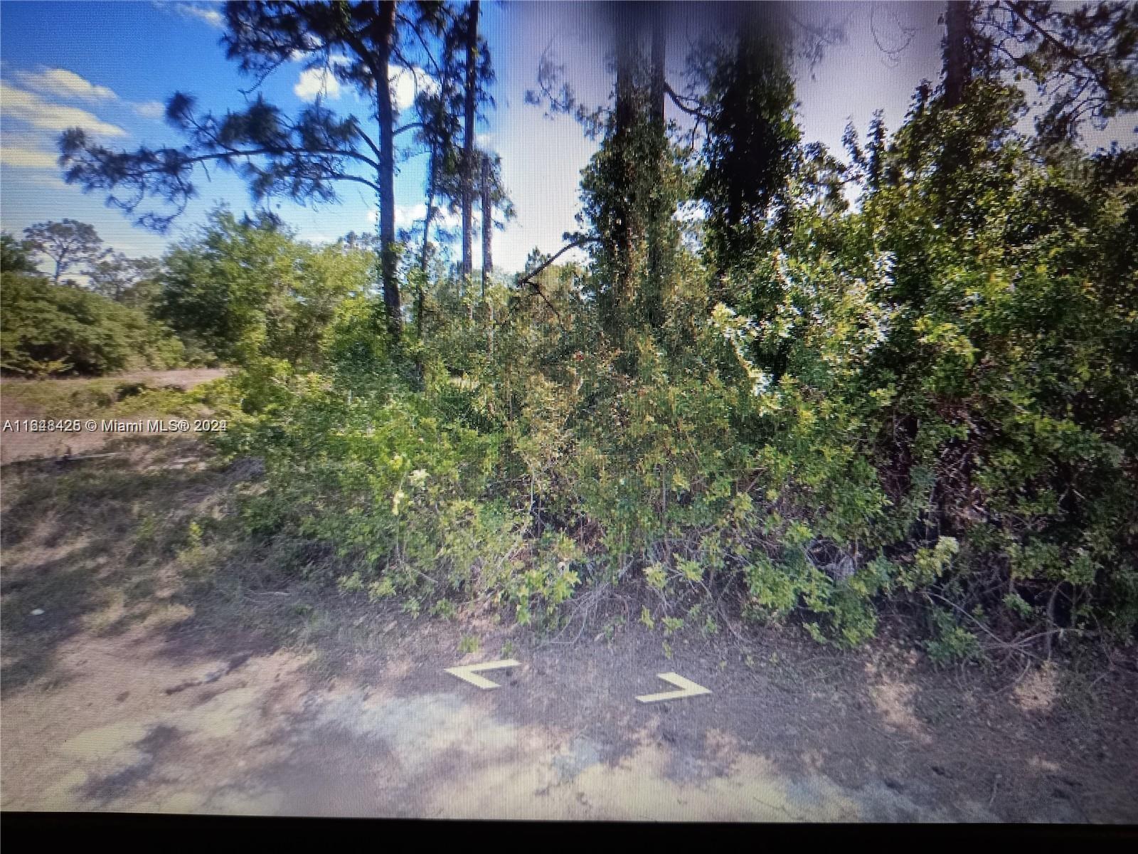 a view of a yard with lots of bushes