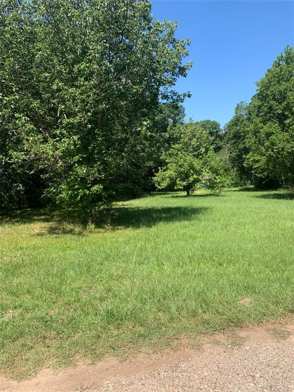 a view of a field of grass and trees