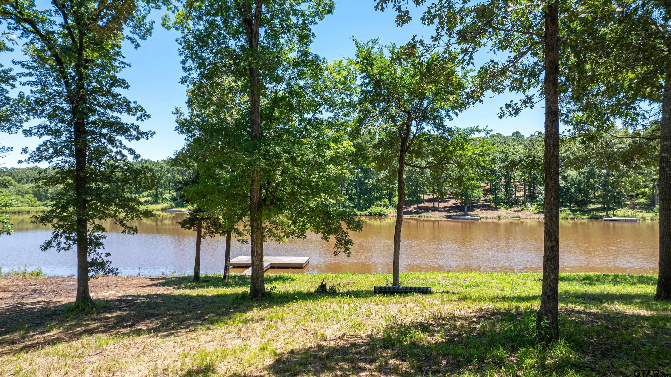 a view of backyard with green space